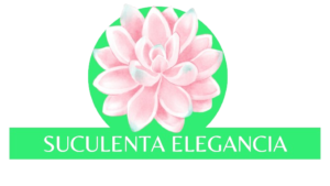 suculentaelegancia